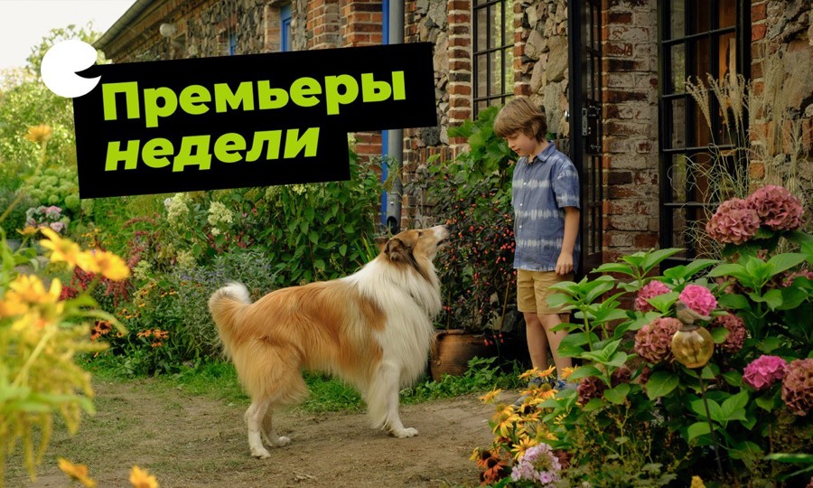Плохая погода не должна отбирать у вас хорошее настроение, ведь сегодня мы встречаем премьеры в Синема Стар! 